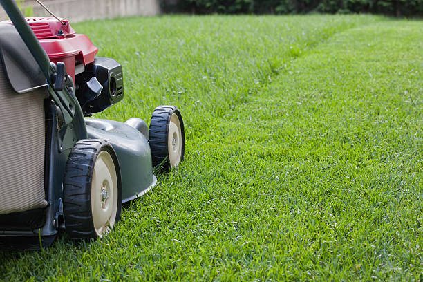 Peut-on tondre sa pelouse un dimanche ou un jour férié ?