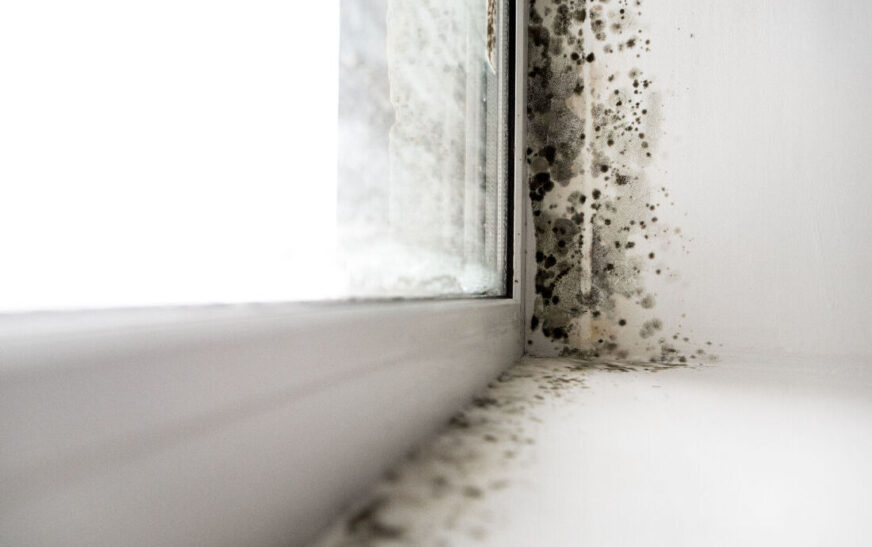 Protéger votre maison contre l’humidité : Méthodes et solutions